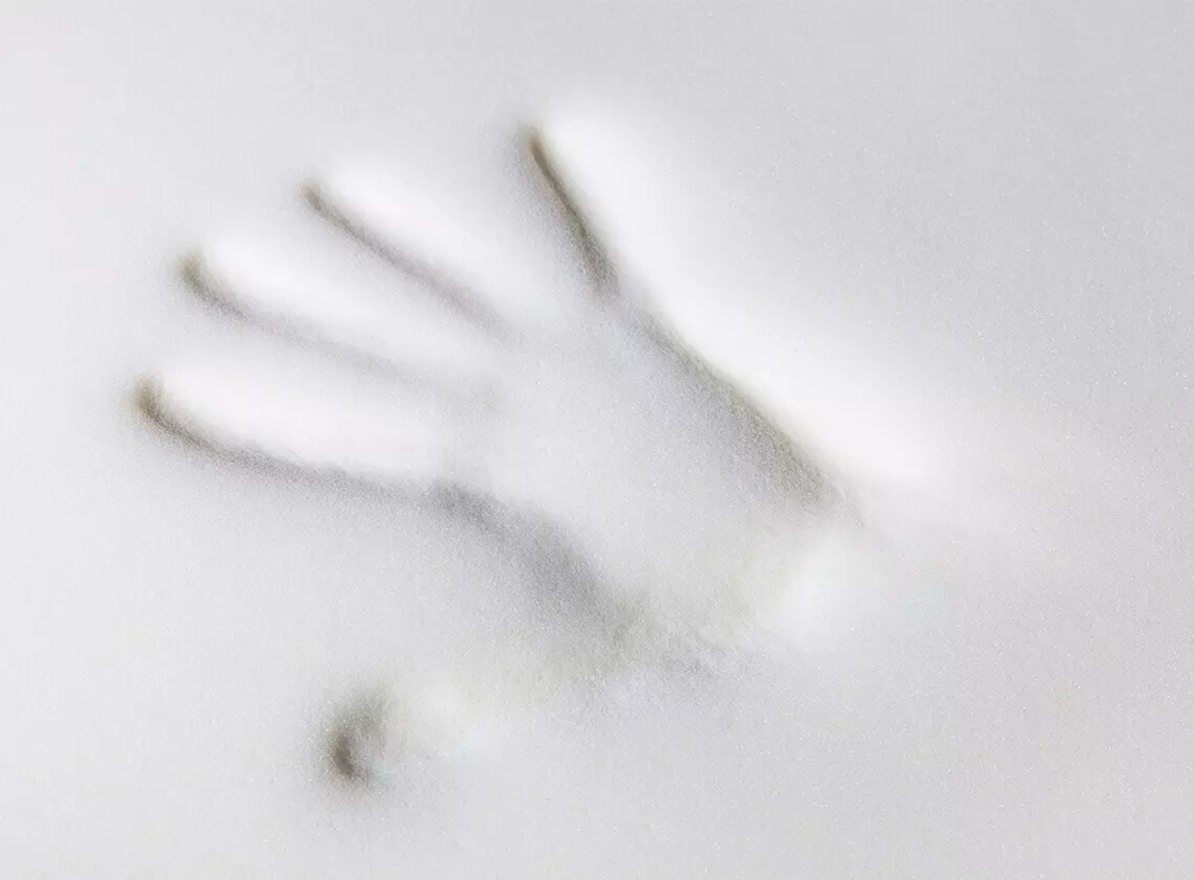 Visco-Topper – druckentlastend & anpassungsfähig